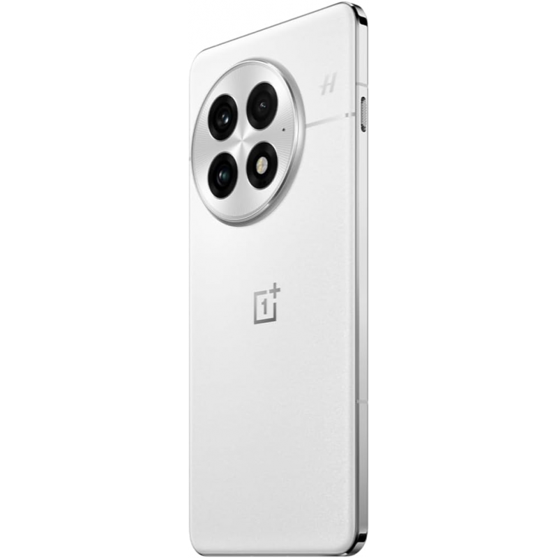 OnePlus 13 5G Smartphone (Dual Sims, 16GB+512GB) - Arctic Dawn