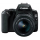 Canon EOS 250D DSLR Camera Body with 18-55mm DC Lens