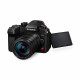 Panasonic Lumix GH6 Camera with Leica 12-60mm f/2.8-4 Lens