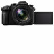 Panasonic Lumix DMC-FZ2000 Bridge Camera Black