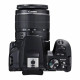 Canon EOS 250D Body With EF-S 18-55mm f/4-5.6 IS STM Lens Kit Black