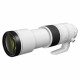 Canon RF 200-800mm f/6.3-9 IS USM Lens