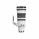 Canon RF 100-300mm f/2.8 L IS USM Lens