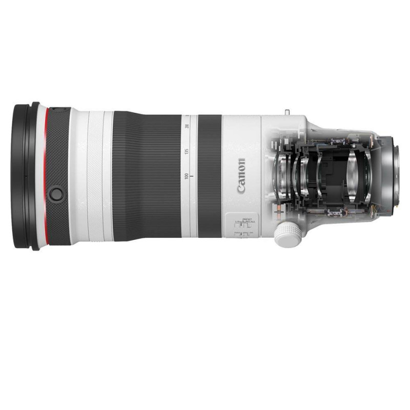 Canon RF 100-300mm f/2.8 L IS USM Lens