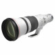 Canon RF 600mm f/4L IS USM Lens