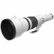 Canon RF 1200mm f/8 L IS USM Lens